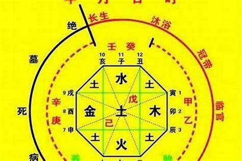 八字 喜用神 查詢